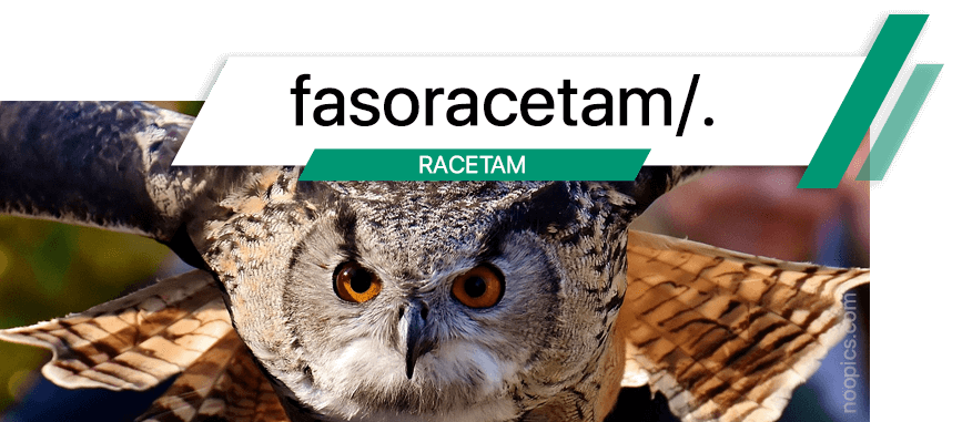 Le fasoracétam est un nootropique utilisé pour améliorer la concentration, l'attention, soulager l'anxiété, traiter la dépression et améliorer la mémoire et la cognition.