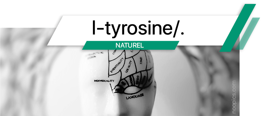 La L-Tyrosine est nootropique qui peut améliorer l'humeur et la mémoire, renforcer les capacités cognitives, augmenter la concentration et réduire les effets nocifs du stress.
