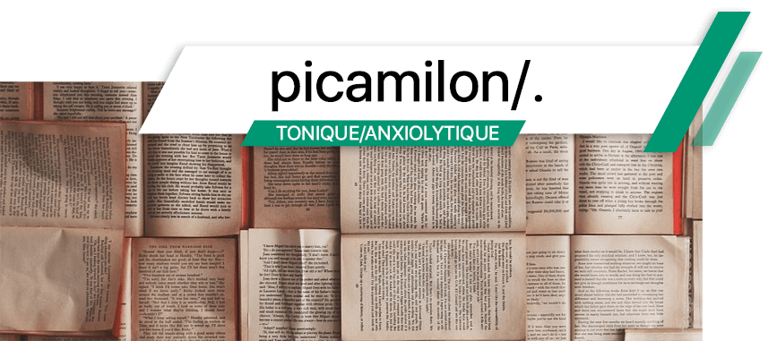 Le picamilon est un nootropique russe qui améliore la fonction cognitive et augmente l'énergie mentale tout en diminuant les sentiments de stress et d'anxiété.